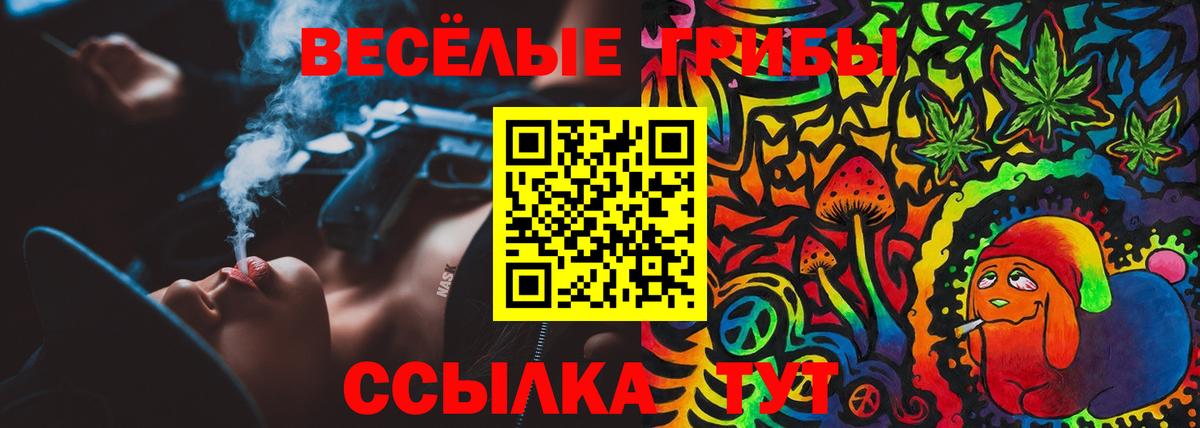 Жуковский  Псилоцибиновые грибы прущие грибы  Вход с VPN 